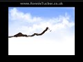 Bob Ross technique in GIMP
