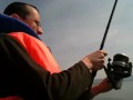 Guarda video