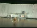 battle of the year brazil 2008   estilo de belem   show