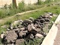 MUY CONTAMINADA LA COLONIA CTM. MUY CONTAMINADA LA COLONIA CTM.