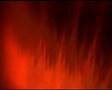 SUR OCULTO----METAMORFOSIS