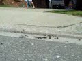 R/C Car - Onboard Video - Run # 001