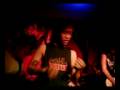 summer party: last look-chicosci