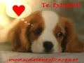 para la persona qme hizo mas feliz d lo q me imagine!!! GI T ador o con toda mi alma!!