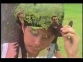 clip meu talisma