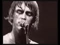 paul weller plays 'wild wood' live (live wood)