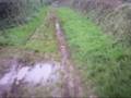 totnes and back