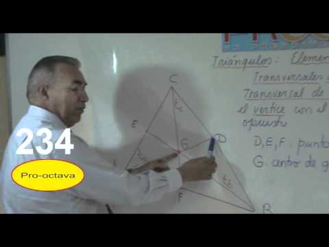 Tri�ngulos: Las Transversales de Gravedad