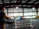 Ella trys her hand at agility training
