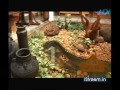 Veedu Garden dream home kerala 040411 sthree 06 02