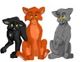fighter-ravenpaw.html