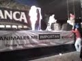 PRESENTACION MISS BAMBA KZA NEGRA 2008