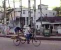 URBAN JUNGLE, SYLHET BANGLADESH