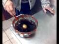 videos de Alla Trattoria Manero questo e altro.