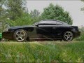 Sn95 Video