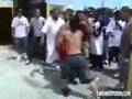 videos de kimbo stärkster strassenkämpfer der welt mann/kimbo streets