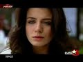 serçe-mevsim sonbahar serçe-mevsim sonbahar
