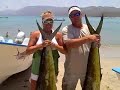 La Paz Fishing - Banner Day with dorado and sailfish La Paz Fishing - Banner Day with dorado and sailfish