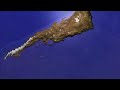 Flooding the planet