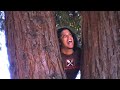 Episode 2 of the Vajayjay Limited Episode 2 of the Vajayjay Limited