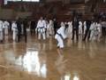 Nijushiho, Florin Gondor 2008