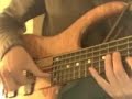 Birdland: Use of Artificial Harmonics