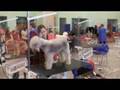 videos de Prague u tube
