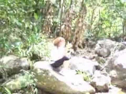 ALDEIA VELHA, cachoeiras das Sete Quedas