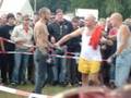 boxer endless summer 08 2