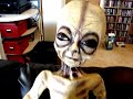 alien cat fun alien cat fun