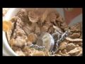 See Video