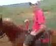 Cavalgada dos plaboy.rsrsss