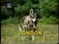 The Littlest Hobo 1982 (DJ Yoda mix)