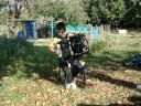 St�phane de Pomares - concertina.