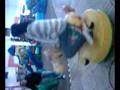 videos de arre burrito