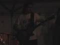 videos de Freebird