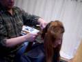 Locks of Love Donation Haircut