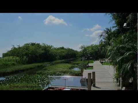 Florida - Everglades - Airboat Rides at Gator Park