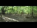 Unicycling video - Man's Best Friend HQ