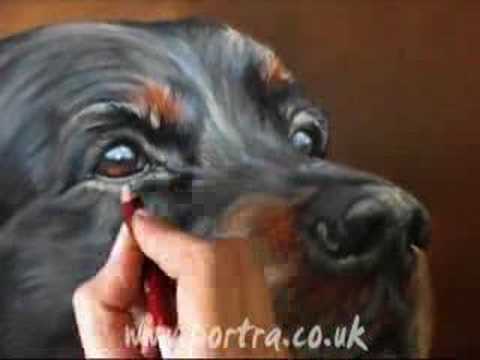 0 Speed painting dog portrait in pastel