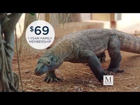 Okc Zoo Pass Mathis Brothers Login Information Account Loginask