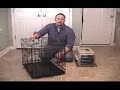 Crate Training Dog