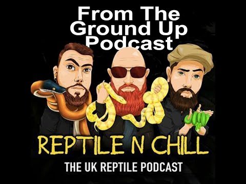 YouTube reptile video