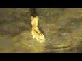 Hyena hunts and kills impala on Djuma Waterhole cam