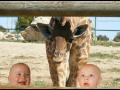 LENY & KEWAN - free flv video @ vwatch.tv