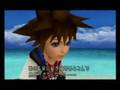 Kingdom Hearts ~ RaNdOmNeSs