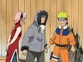 LOS PECHOS DE SAKURA