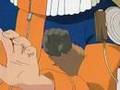 LOS PECHOS DE SAKURA