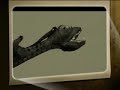 Red Dragon sw.avi