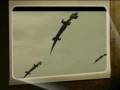 videos de Red Dragon sw.avi